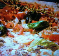 Alfio's Pizzeria - Accommodation in Surfers Paradise