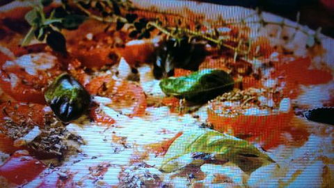 Alfio's Pizzeria - Accommodation in Surfers Paradise 0