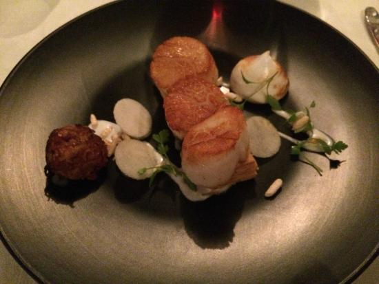 Clubs Agnes Water QLD Accommodation in Surfers Paradise