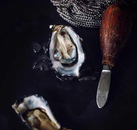 Shuck - Accommodation in Surfers Paradise 4