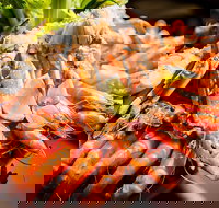 Table 30 - Accommodation in Surfers Paradise