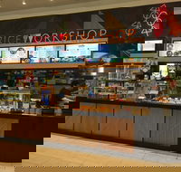 Rice Workshop Northland - Accommodation in Surfers Paradise