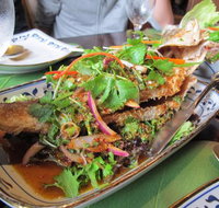 Thai Thonglor 55