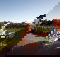 Gapsted Wines - Accommodation in Surfers Paradise