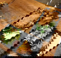 Two Little Owls Cafe - Accommodation in Surfers Paradise