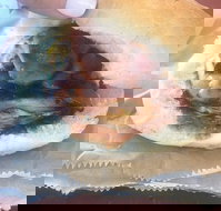 Avenel Cafe - Accommodation in Surfers Paradise