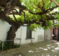 The Vine - Accommodation in Surfers Paradise