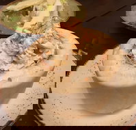 Yan - Accommodation in Surfers Paradise