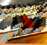 Freewave Sushi  Burgers - Accommodation in Surfers Paradise