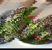 Santos Organics Mullumbimby - Accommodation in Surfers Paradise