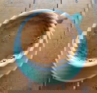 The Branches Coffee Roasters - Accommodation in Surfers Paradise