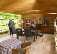 Tumut Valley Violets - Accommodation in Surfers Paradise