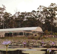 Abundance Cafe and Garden Centre - Accommodation in Surfers Paradise