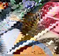 Calypso Cafe  Juice Bar - Wolli Creek - Accommodation in Surfers Paradise