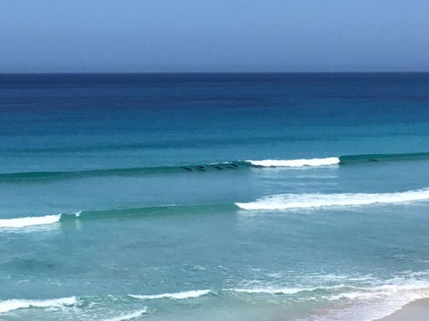Beach Barista - Accommodation in Surfers Paradise 1