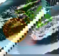 Park Bench Espresso Bar - Accommodation in Surfers Paradise