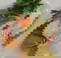 Vida Espresso - Accommodation in Surfers Paradise