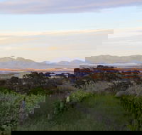 Castle Rock Estate Winery - Accommodation in Surfers Paradise