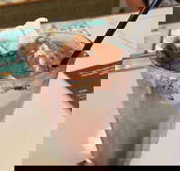 Coffee Mentality - Albion - Accommodation in Surfers Paradise