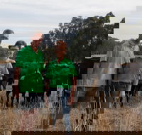 Milawa Organic Beef - Accommodation in Surfers Paradise
