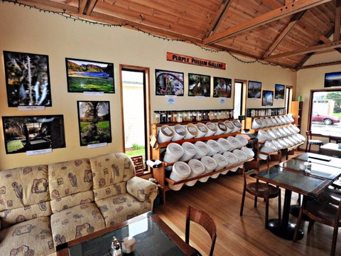 Purple Possum Wholefoods And Cafe - Accommodation in Surfers Paradise 0