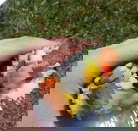 Yuri Sushi - Accommodation in Surfers Paradise