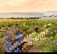 Boston Bay Wines - Accommodation in Surfers Paradise