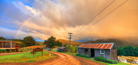Hartzview Vineyard Heritage Pickers Hut Village - Accommodation in Surfers Paradise 0