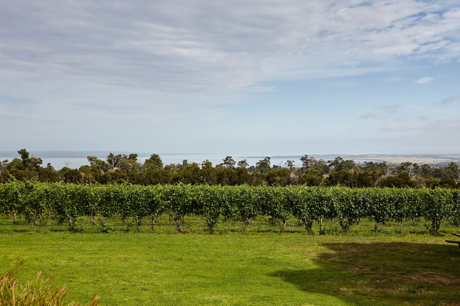 Pioneer Bay VIC Accommodation in Surfers Paradise