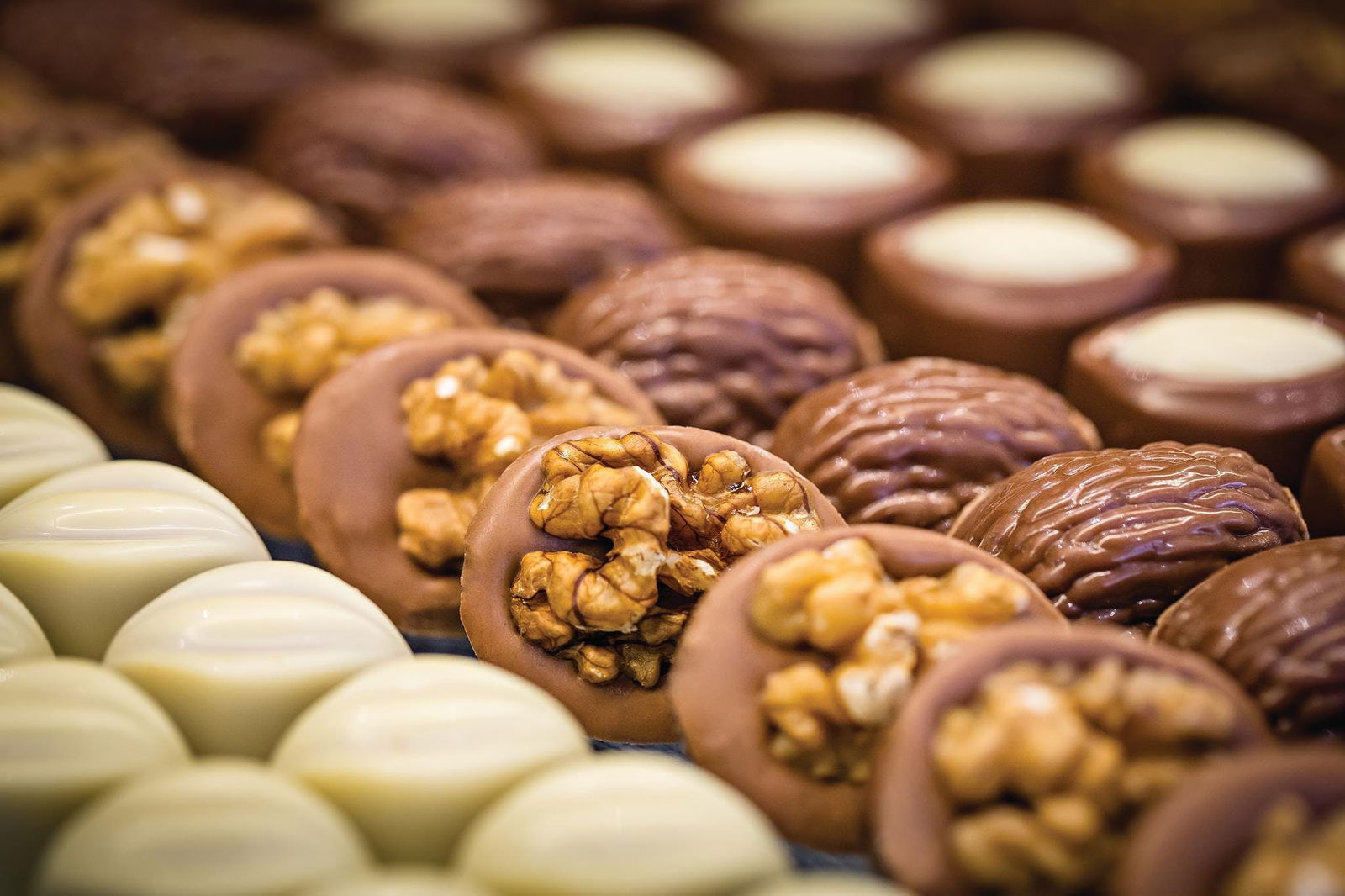 Sale VIC Accommodation in Surfers Paradise