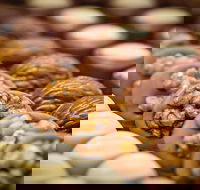 Curry Cottage - Accommodation in Surfers Paradise