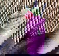 Jungle - Accommodation in Surfers Paradise