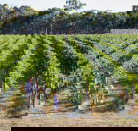 Weathercraft Wines - Accommodation in Surfers Paradise