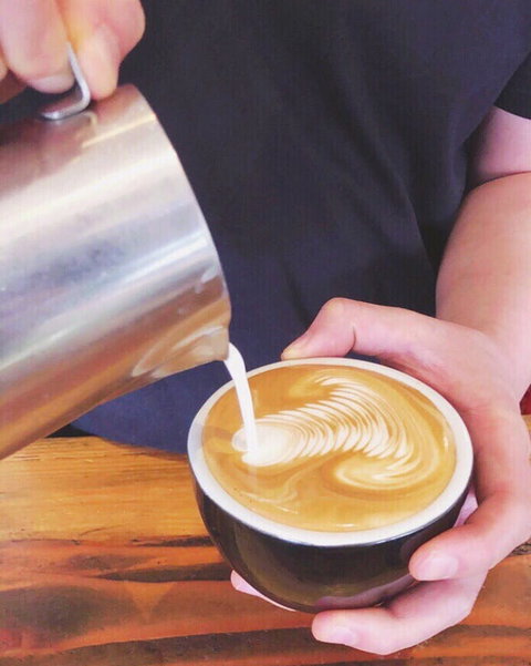 Willis And Anderson - Accommodation in Surfers Paradise 0