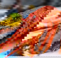 Freycinet Marine Farm - Accommodation in Surfers Paradise