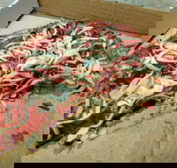 Hunting Ground - Accommodation in Surfers Paradise