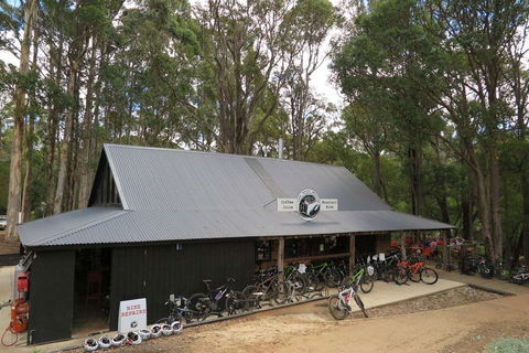 The Hairy Marron - Accommodation in Surfers Paradise 0