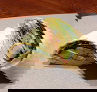 Wrap N Roll - Robina - Accommodation in Surfers Paradise