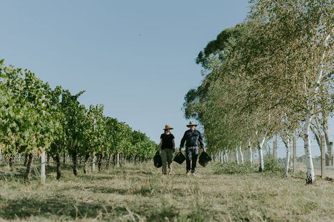 Rowlee Wines - Accommodation in Surfers Paradise 1