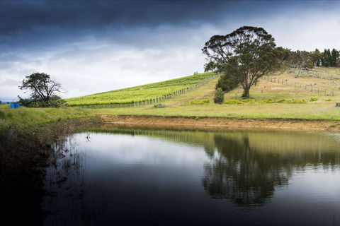Mount Majura Vineyard - Accommodation in Surfers Paradise 1