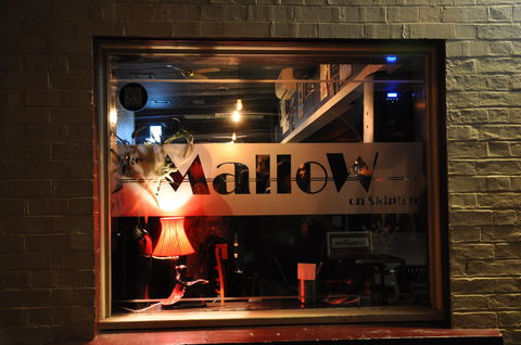 The Mallow Hotel - Accommodation in Surfers Paradise 1