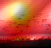 TINH and LAN Vietnamese Restaurant - Accommodation in Surfers Paradise