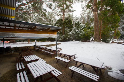 Waterfalls Cafe & Gallery - Accommodation in Surfers Paradise 0