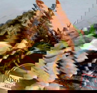 Redfish Fish Chips  Grill - Accommodation in Surfers Paradise