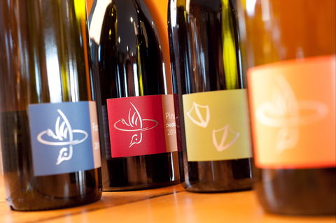 Puddleduck Vineyard - Accommodation in Surfers Paradise 2