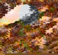 Soprano's Pizza - Accommodation in Surfers Paradise