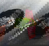 Wheres Wolli - Accommodation in Surfers Paradise