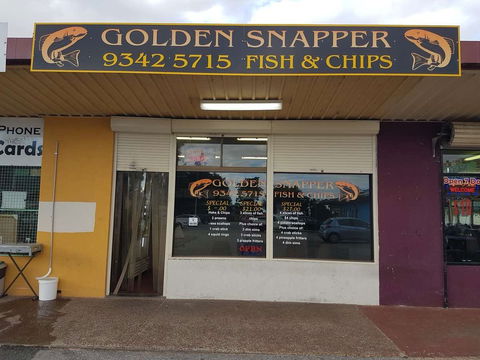 Golden Snapper - Accommodation in Surfers Paradise 0
