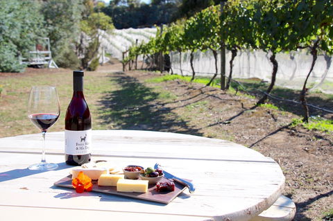Every Man And His Dog Vineyard - Accommodation in Surfers Paradise 1