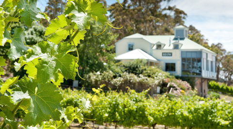 Hahndorf Hill Winery - Accommodation in Surfers Paradise 2